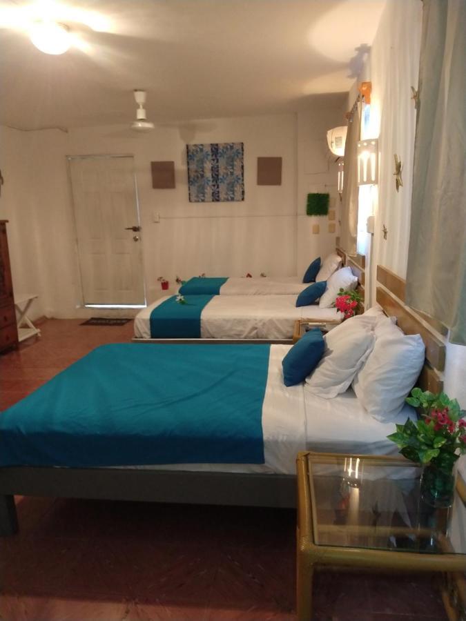 דירות קוזומל Casa San Miguel 1 מראה חיצוני תמונה